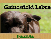 Tablet Screenshot of gainesfieldretrievers.com
